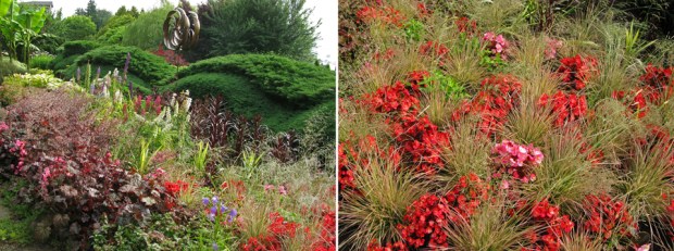 July 2012:  Colors and textures