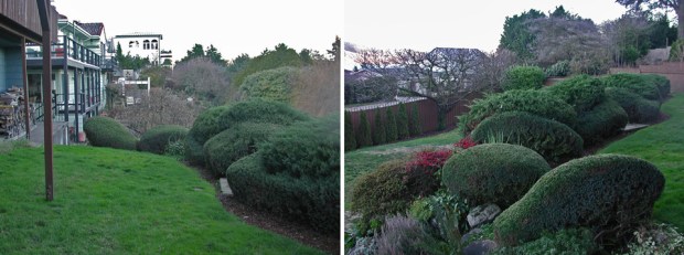 2005:  The garden "as is"