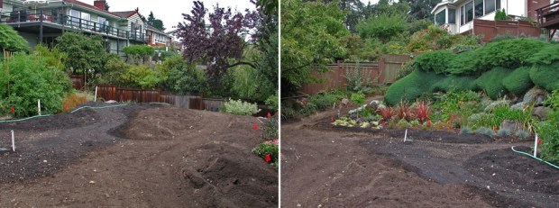 Summer 2006:  Shaping the earth