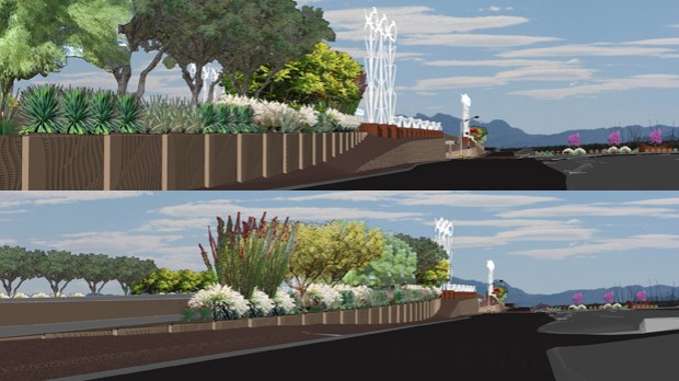 Sweeping arcs define planters adding grace and movement to the site.