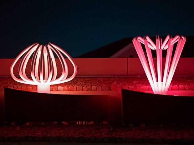 Light Sculptures suggest cacti forms