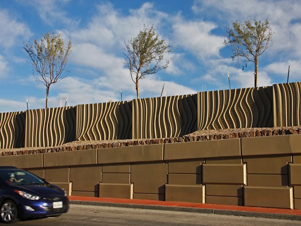 Windswept Patterning for Planter Walls with native trees