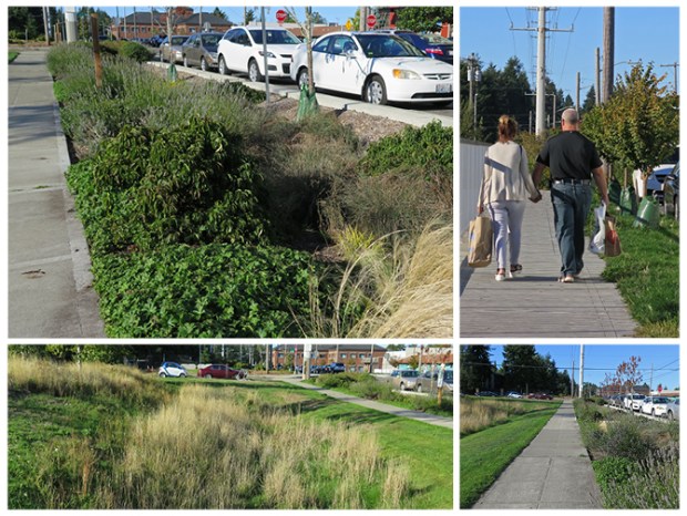 Linden Ave has been softened with greening