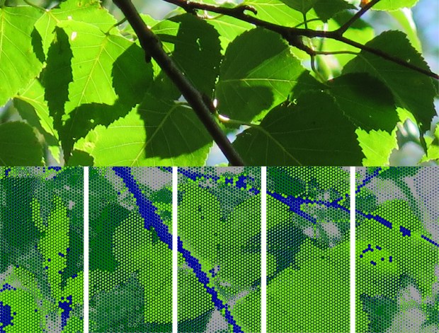 The patterns for the aesthetic enhancements transform natural imagery through technology 