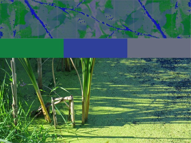 The second template adds the dark green found in the shadows of the reeds.