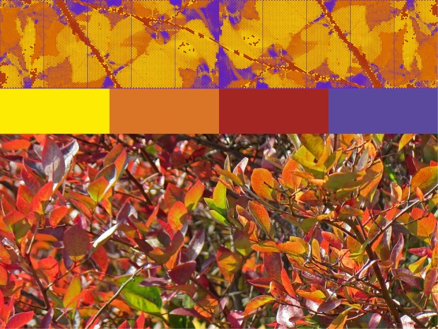 Template 6 adds yellow to make bright leaf colors.