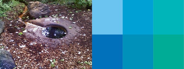 4_Vicki Scuri_Aurora_960